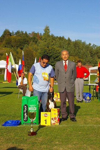 www.boxer-show.eu